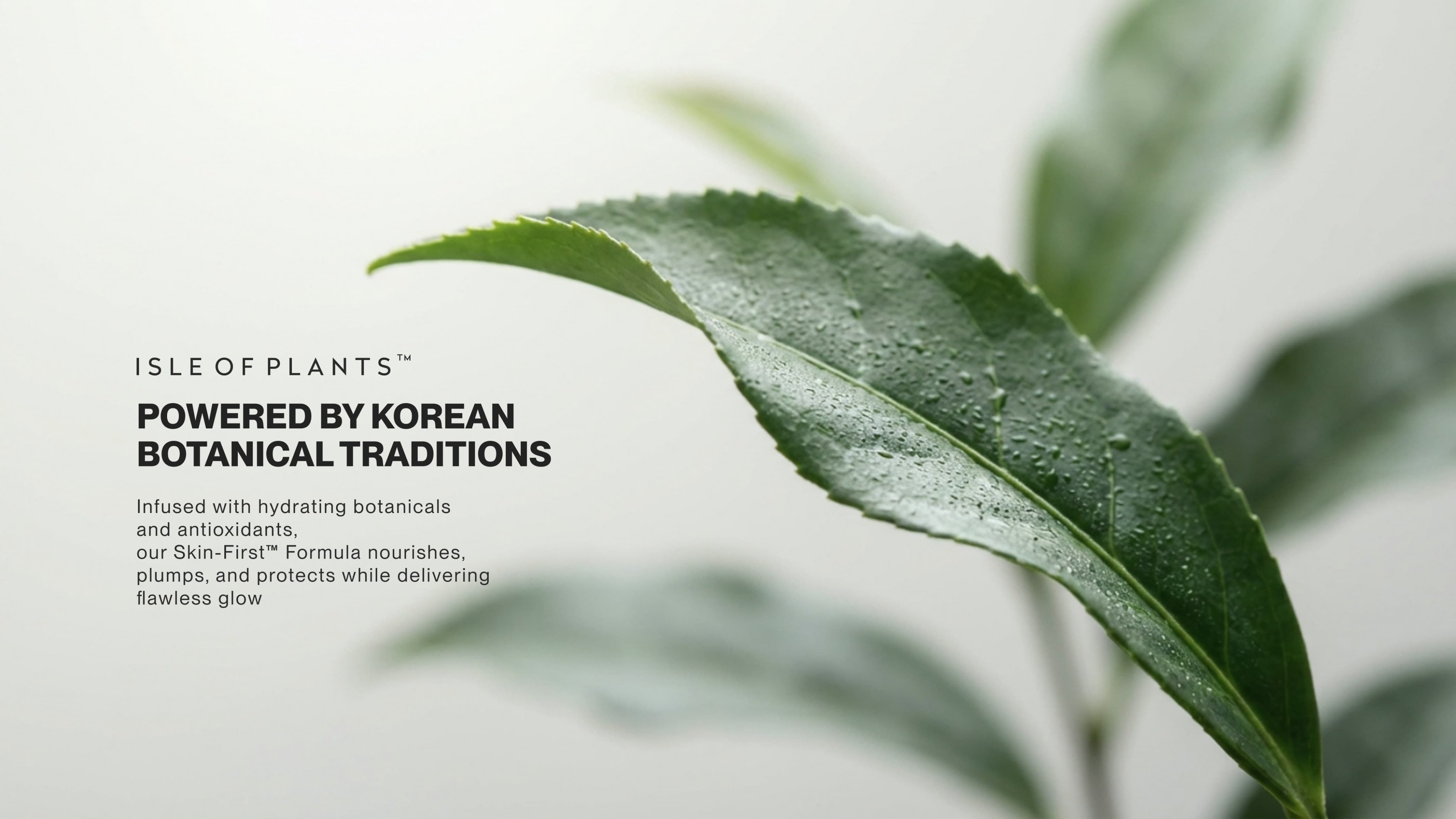 Visual storytelling campaign and creative art direction showcasing a green botanical leaf with water drops for a clean skincare brand identity