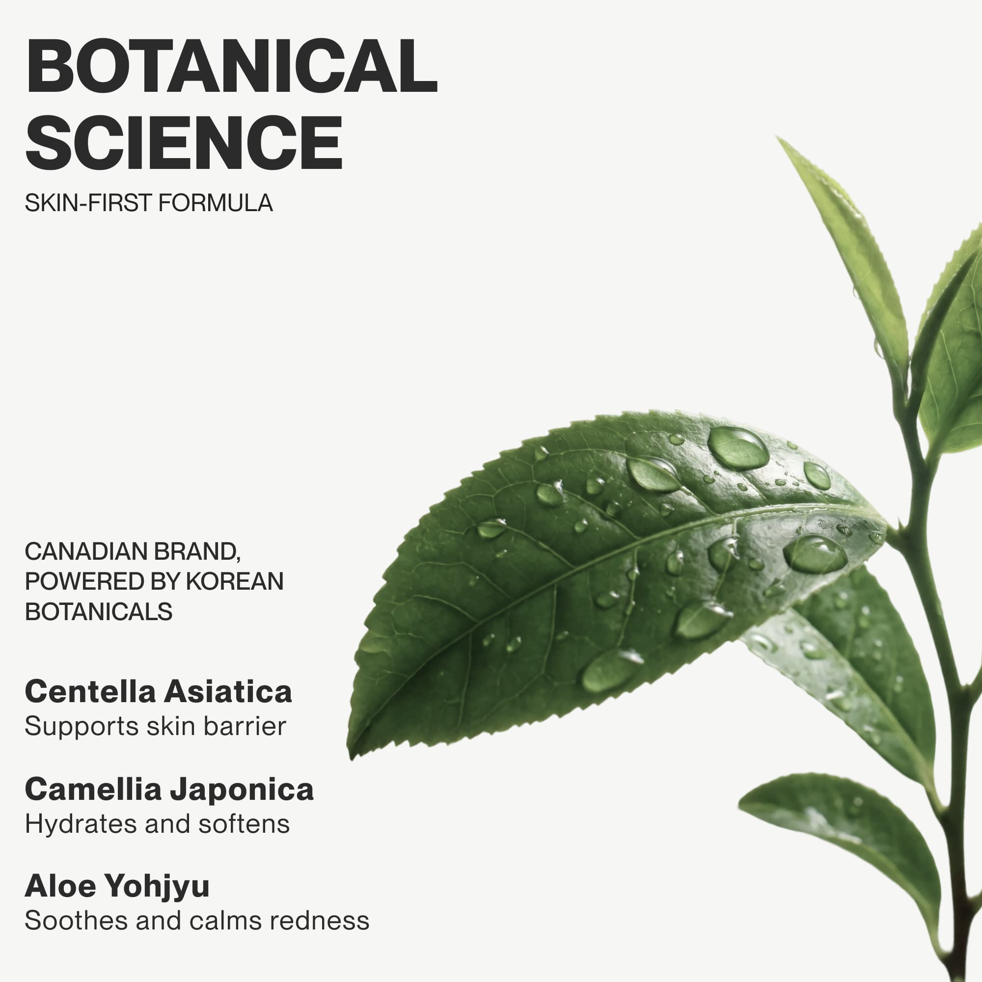 Visual storytelling campaign and premium skincare packaging architecture showcasing a botanical ingredients breakdown for a clean beauty brand